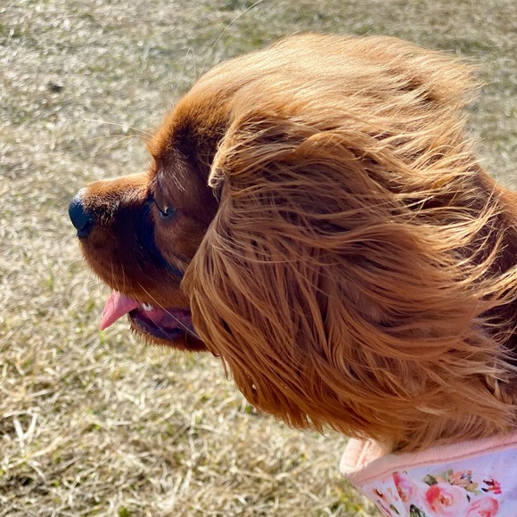 Meet your Posher, Agnieszka - Picture 6 of 7